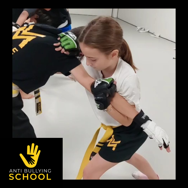 Programa Antibullying School